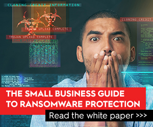 Download the Ransomeware White Paper